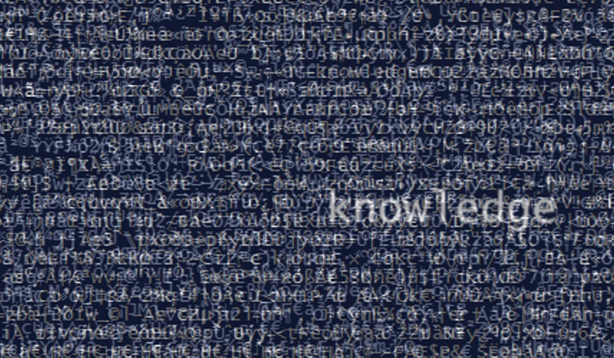 Seeking Knowledge in the Information Age