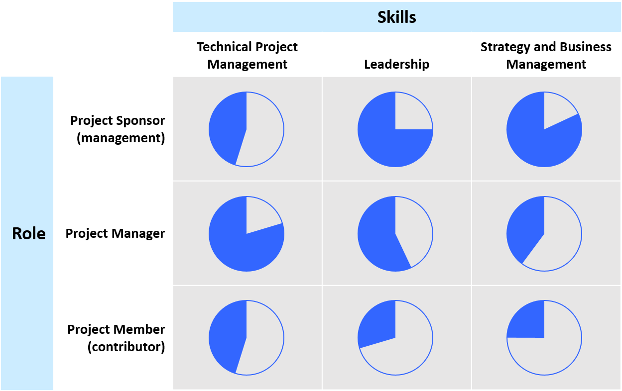 project-management-skills-and-capabilities-biopm-llc